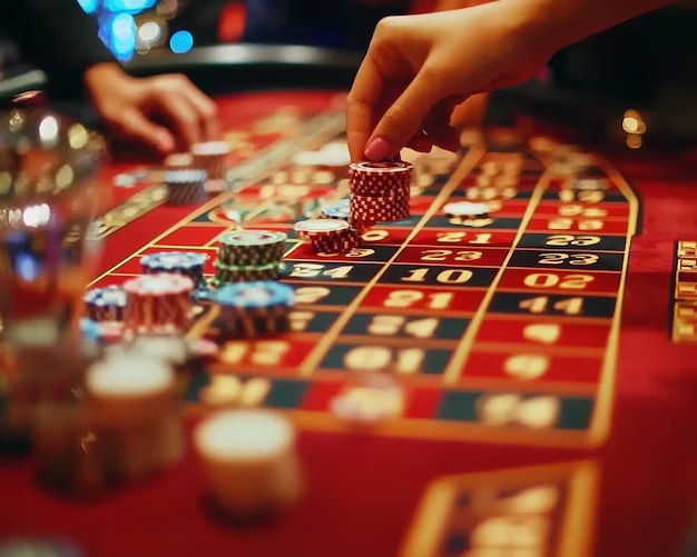 Live Hood vs Wolf table with professional dealer and HD multi-camera setup